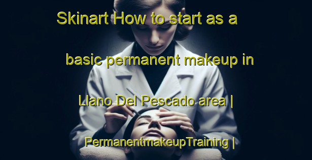 Skinart How to start as a basic permanent makeup in Llano Del Pescado area | PermanentmakeupTraining | PermanentmakeupClasses | SkinartTraining-Mexico